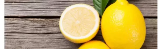 ▷4 Tips To Avoid Buying A Lemon In San Diego